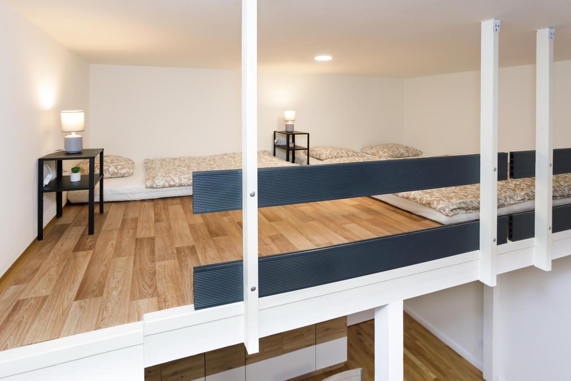 Luxury Near The Downtown Apartment